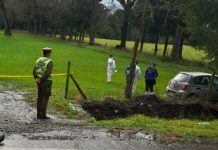 Purranque: Investigan hallazgo de cadáver con un disparo en la cabeza