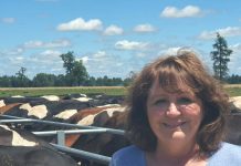 Centro de capacitación lechero del sur