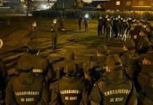 Ronda policial preventiva: mil controles y quince detenidos en la región de Los Lagos