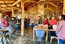 Entregarán apoyo económico al sector cultural enfocado en comunas de más difícil acceso en la región de Los Lagos