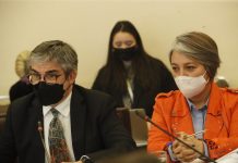 Comisión de Hacienda aprueba por unanimidad bono invierno y extensión del posnatal de emergencia