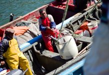 Pescadores buscarán cambios a la Ley Lafkenche: «El mundo indígena está abusando mucho»