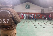 Incautan 180 kilos de marihuana en la Región de Los Lagos