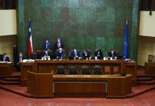 Aumento en fiscalización y en sanciones al robo de madera se despachó a ley