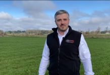 La importancia de los eslabones en la cadena agroalimentaria