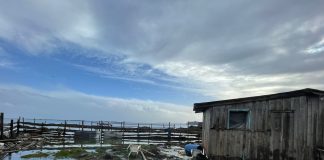 Oficina de Emergencias Puerto Montt