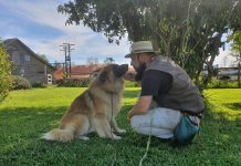 Pareja purranquina reeduca a perros asilvestrados y les encuentran hogares