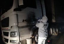 Investigan asalto a camión que transportaba 22 mil kilos de salmones