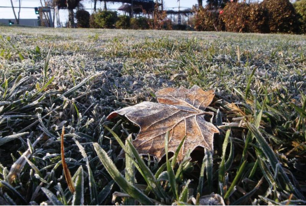 Captura de Pantalla 2022-08-07 a la(s) 10.07.08