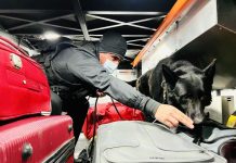 Detectan 9 mil dosis en cocaína y marihuana avaluadas en 66 millones de pesos: Hay un extranjero detenido