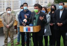 Declaran emergencia agrícola por plaga de nematodo que afecta a la producción de frutillas