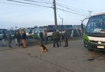 Colectiveros analizan sumarse al paro de los microbuses en Osorno