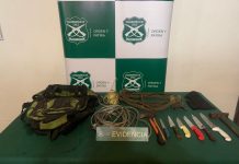 Arresto nocturno y arraigo nacional para imputado por abigeato en Puyehue