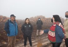 Gobierno confirma disposición de ayuda a víctimas ataque incendiario en Punucapa