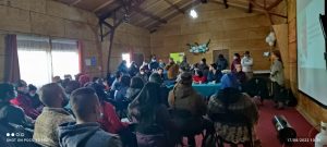Trabajadores del salmón critican "desinformación" de instituto danés entregada en Quellón