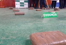 Decretan prisión preventiva para 2 colombianos que pretendían comercializar 180 kilos de marihuana en Puerto Montt