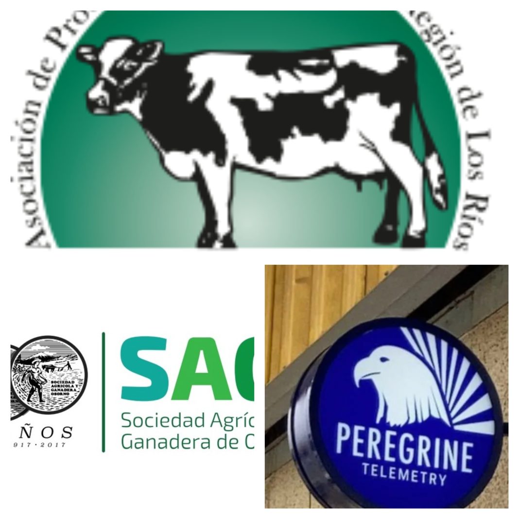 BeFunky-collage (17)