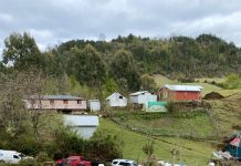 Detienen a presunto autor de homicidio de un hombre en Lago Ranco, región de Los Ríos. Sujeto estuvo compartiendo con la víctima