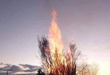 Decretan alerta temprana preventiva en Calbuco por 4 eventos masivos