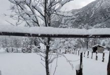 Vecinos de sectores cordilleranos de Cochamó no podrán votar en plebiscito por problemas de conectividad