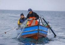 Para diseñar nueva ley de pesca, autoridades del Ministerio de Economía se reúne con dirigentes de la pesca artesanal en Puerto Montt