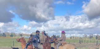 Usurpacion Frutillar - Multigremial del Sur