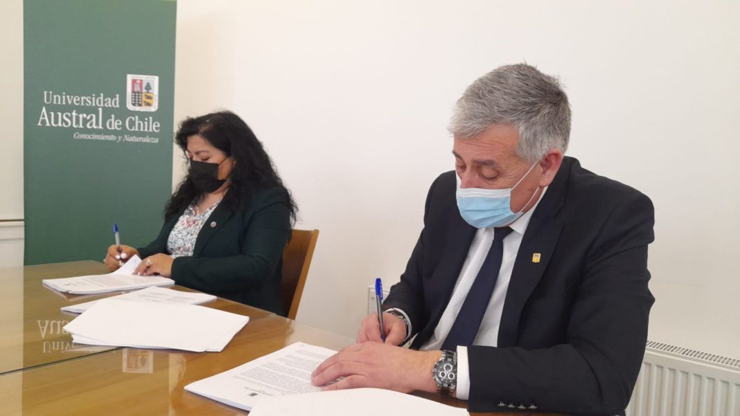 WhatsApp Image 2022-09-01 at 23.17.04