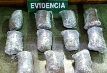 Control carretero permite a Carabineros decomisar 11.5 kilos de marihuana