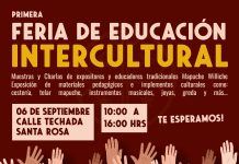 En Puerto Varas realizarán la Primera Feria Intercultural de Educación