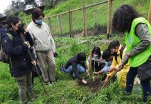 Liceo Carmela Carvajal de Osorno potenciará educación ambiental apadrinando árboles del Parque Chuyaca