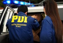 En septiembre la PDI detuvo a 8 personas por hurto de madera en Los Ríos