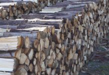 Aprueban el proyecto de biocombustibles sólidos en el Senado y fue despachado a ley