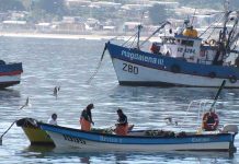 Dirigentes de la pesca artesanal de Ferepa y Condep critican presencia de industriales en el diseño de la nueva Ley de Pesca