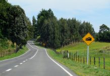 Vecinos manifestaron su preocupación por el estado de la ruta que une Osorno con Puerto Octay