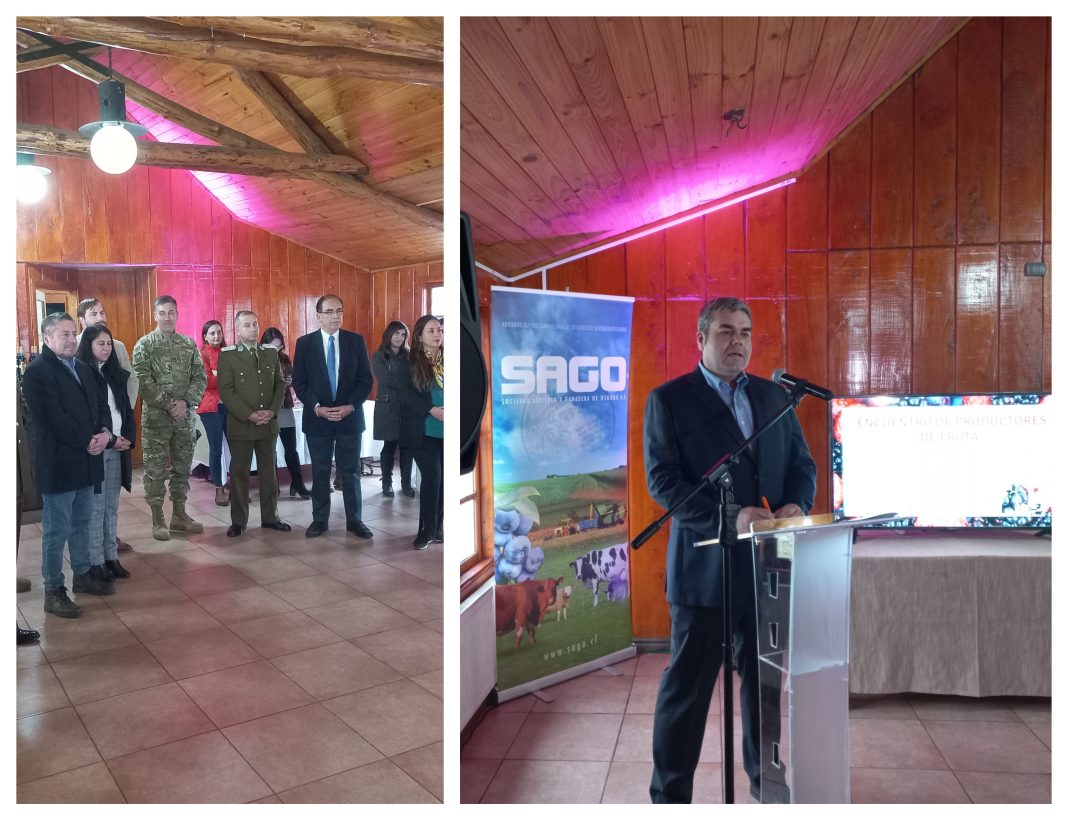 BeFunky-collage fisur (3)