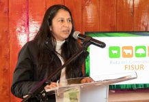 Fin de año con balance positivo destacó la DPP de Osorno: un fallecido por riña y cero por accidentes de tránsito