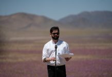 Presidente Boric anuncia creación del Parque Nacional Desierto Florido: «Tenemos el deber de proteger esto»