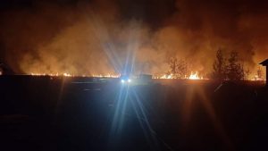 Incendio afecta humedal de Piedra Blanca en Valdivia