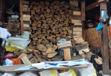 Inician procesos sancionatorios por el PDAO: Uno de ellos dirigido al Municipio de Osorno