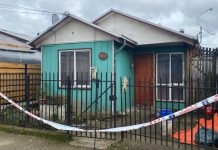 Con elementos contundentes y cortantes le quitaron la vida a una mujer de 53 años y su hija de 19 en Frutillar