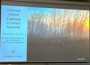 Intercambio tecnológico, entre Irlanda y Chile, para lograr carbono neutralidad