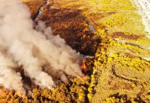 Incendio forestal consumió 8 hectáreas de matorrales y pastizales en Alerce, comuna de Puerto Montt