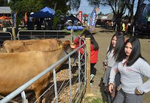 La Ruta del conocimiento nuevamente en el primer día de SAGOFISUR 2025