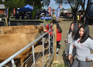 La Ruta del conocimiento nuevamente en el primer día de SAGOFISUR 2025 inicio