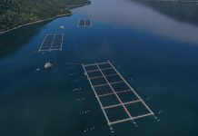 Empresa Ventisquero realiza semana de la sostenibilidad en la industria salmonera