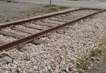 Bienes Nacionales criticó a EFE acusando desidia por sus terrenos en Osorno tras reclamos por inseguridad