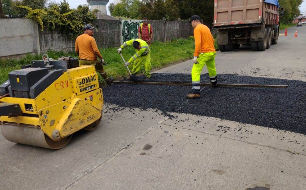 WhatsApp Image 2022-10-13 at 3.12.26 PM