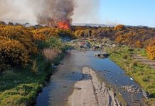 Onemi coordina acciones para enfrentar la próxima temporada de incendios forestales