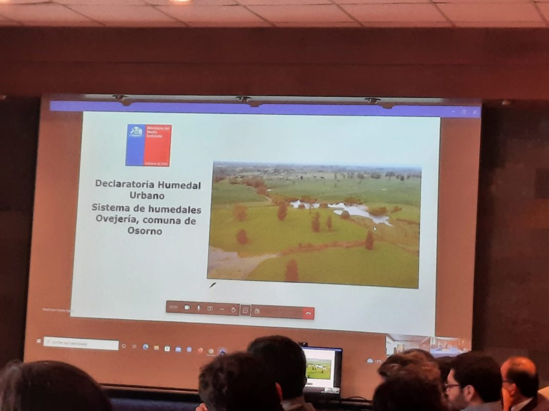 WhatsApp Image 2022-10-28 at 12.58.51