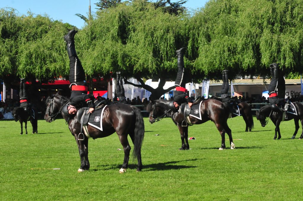Fisur 2022: Masivo cierre de fiesta en el Recinto SAGO
